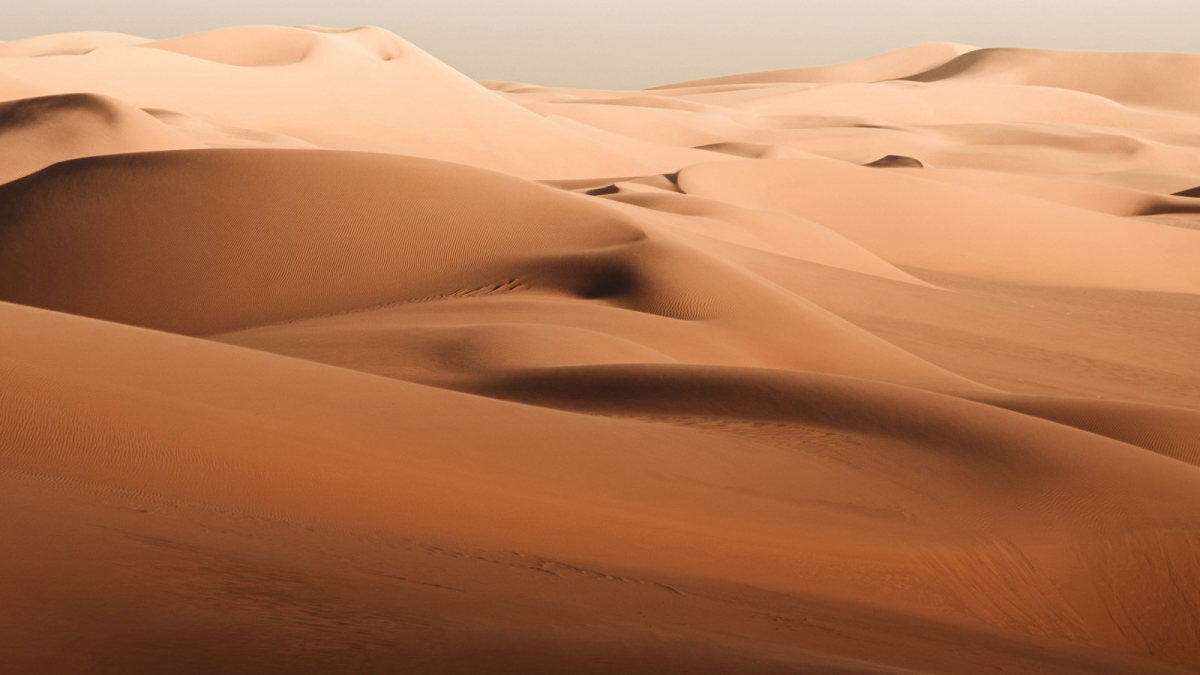 De grandes dunes de sable